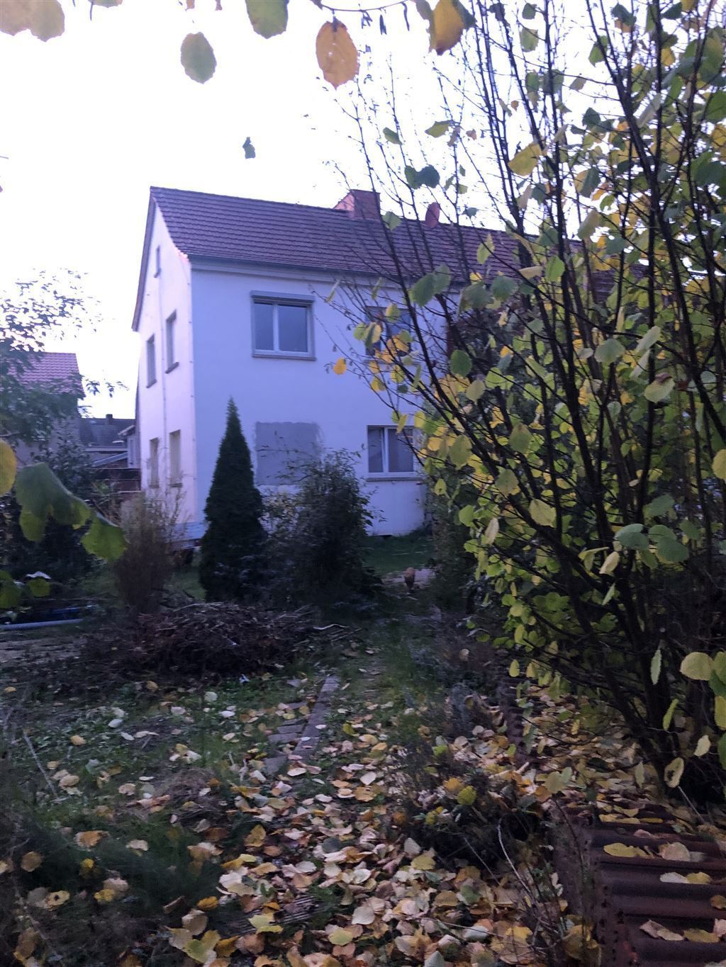 Außenansicht/Garten