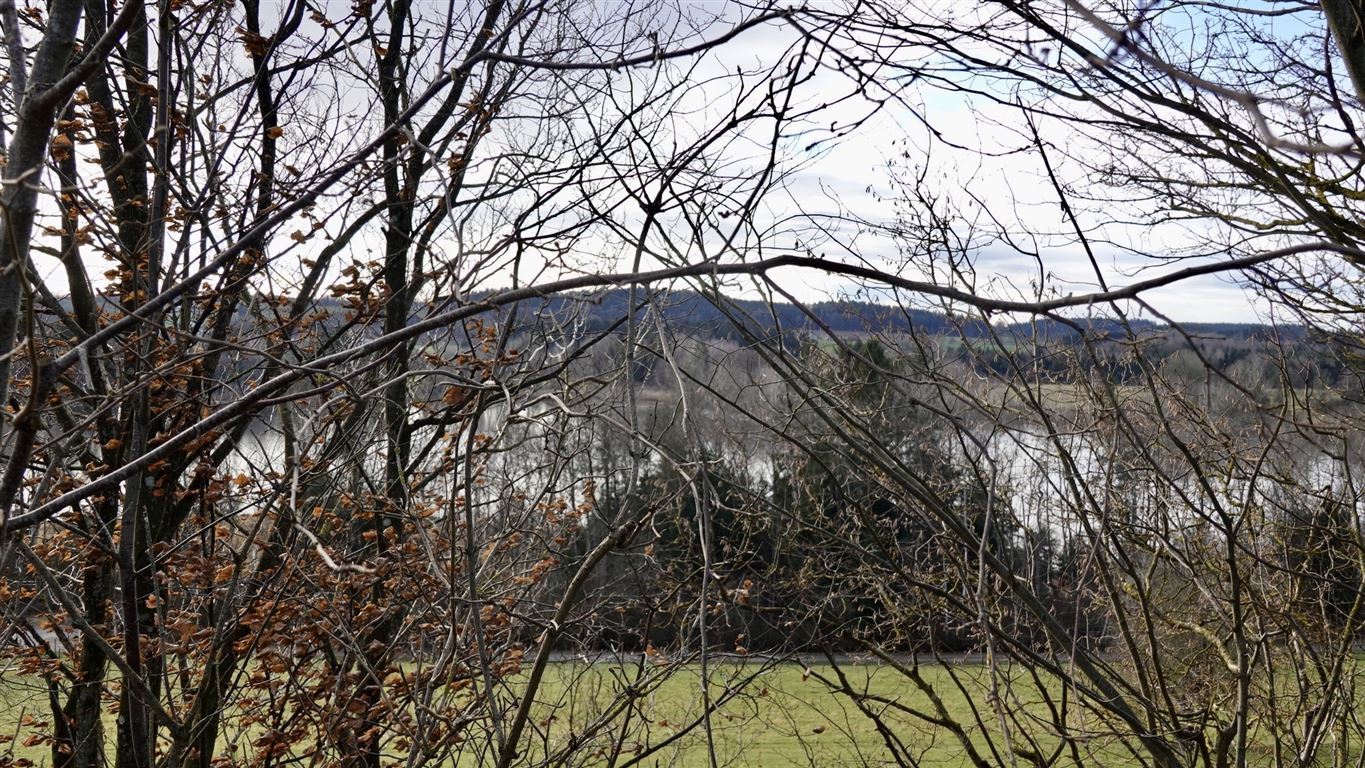 Ausblick vom Garten auf Ruschweiler See