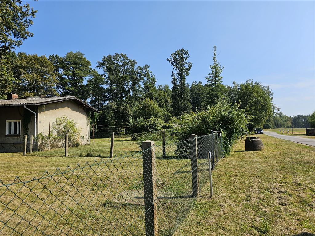 Blick Richtung Waldweg